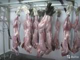 Продовольствие Свежее мясо, цена 75 Грн./кг., Фото