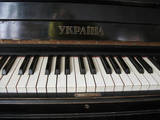 Музика,  Музичні інструменти Клавішні, ціна 2000 Грн., Фото