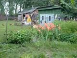 Дачи и огороды Черниговская область, цена 25000 Грн., Фото