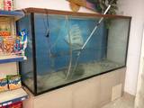 Рыбки, аквариумы Аквариумы и оборудование, цена 10000 Грн., Фото