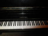 Музыка,  Музыкальные инструменты Клавишные, цена 700 Грн., Фото