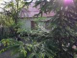 Дома, хозяйства Днепропетровская область, цена 45000 Грн., Фото