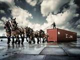 Перевезення вантажів і людей Логістика, ціна 10 Грн., Фото
