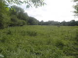 Дачи и огороды Хмельницкая область, цена 27000 Грн., Фото