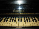 Музика,  Музичні інструменти Клавішні, ціна 1600 Грн., Фото