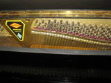 Музыка,  Музыкальные инструменты Клавишные, цена 1600 Грн., Фото
