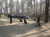 Собаки, щенята Заняття, тренування, ціна 50 Грн., Фото