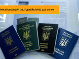 Юридические услуги Оформление виз и документов, Фото