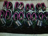 Детская одежда, обувь Спортивная обувь, цена 700 Грн., Фото