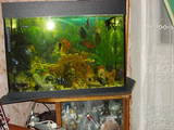 Рыбки, аквариумы Аквариумы и оборудование, цена 1300 Грн., Фото