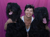 Собаки, щенки Черный терьер, цена 10000 Грн., Фото