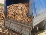 Дрова, брикеты, гранулы Дрова колотые, цена 500 Грн., Фото