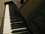 Музыка,  Музыкальные инструменты Клавишные, цена 2300 Грн., Фото