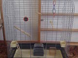 Папуги й птахи Клітки та аксесуари, ціна 750 Грн., Фото
