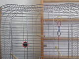 Попугаи и птицы Клетки  и аксессуары, цена 745 Грн., Фото