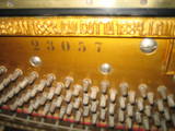 Музыка,  Музыкальные инструменты Клавишные, цена 5000 Грн., Фото