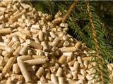 Дрова, брикеты, гранулы Гранулы, цена 2400 Грн., Фото