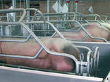 Тваринництво Обладнання для свинячих ферм, ціна 100 Грн., Фото