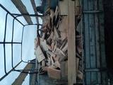 Дрова, брикети, гранули Будівельні обрізки, ціна 100 Грн., Фото