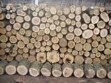 Дрова, брикеты, гранулы Дрова колотые, цена 450 Грн., Фото