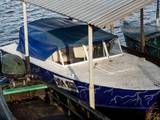 Лодки моторные, цена 41000 Грн., Фото