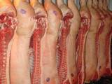 Продовольство Свіже м'ясо, ціна 48 Грн./кг., Фото