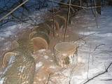 Дрова, брикети, гранули Дрова колоті, ціна 500 Грн., Фото