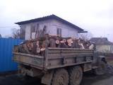 Дрова, брикеты, гранулы Дрова колотые, цена 450 Грн., Фото