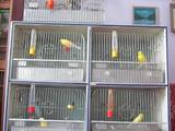Попугаи и птицы Клетки  и аксессуары, Фото