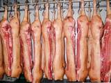 Продовольство Інші м'ясопродукти, ціна 15000 Грн./т., Фото