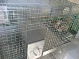 Грызуны Клетки  и аксессуары, цена 500 Грн., Фото