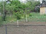 Дачи и огороды Одесская область, цена 319000 Грн., Фото