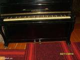 Музика,  Музичні інструменти Клавішні, ціна 1000 Грн., Фото