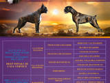 Собаки, щенки Боксер, цена 25000 Грн., Фото