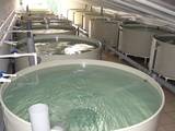 Рыбное хозяйство Оборудование для разведения рыбы, цена 100000 Грн., Фото