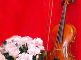Музыка,  Музыкальные инструменты Струнные, цена 1800 Грн., Фото