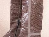 Взуття,  Жіноче взуття Чоботи, ціна 2000 Грн., Фото