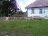 Дачи и огороды Киевская область, цена 100000 Грн., Фото