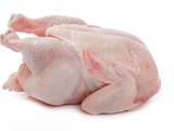 Продовольство М'ясо птиці, ціна 35 Грн./кг., Фото