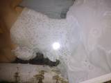 Жіночий одяг Сукні, ціна 3500 Грн., Фото