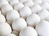 Продовольство Яйця, ціна 12 Грн., Фото