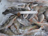 Продовольство Риба і рибопродукти, ціна 12 Грн./кг., Фото
