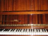 Музика,  Музичні інструменти Клавішні, ціна 3500 Грн., Фото