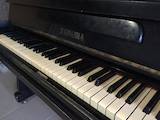 Музика,  Музичні інструменти Клавішні, ціна 4500 Грн., Фото