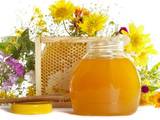 Продовольствие Мёд, цена 50 Грн./кг., Фото