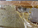 Продовольство Мед, ціна 100 Грн./кг., Фото