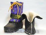 Детская одежда, обувь Сапоги, цена 103 Грн., Фото