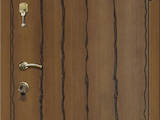 Двері, замки, ручки,  Двері, дверні вузли Металеві, ціна 7000 Грн., Фото