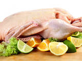 Продовольство М'ясо птиці, ціна 65 Грн./кг., Фото