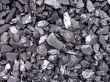 Дрова, брикеты, гранулы Уголь, цена 3600 Грн., Фото